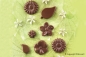 Preview: Silikonform für Schokolade - Choco Garten